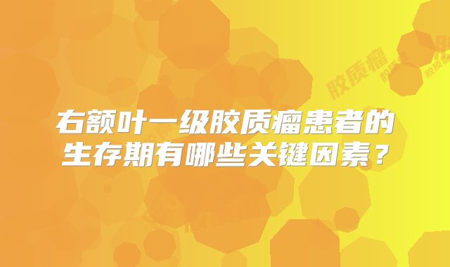 右额叶一级胶质瘤患者的生存期有哪些关键因素？