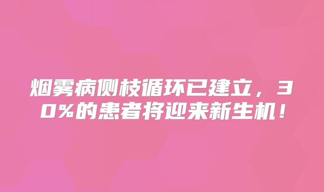 烟雾病侧枝循环已建立，30%的患者将迎来新生机！