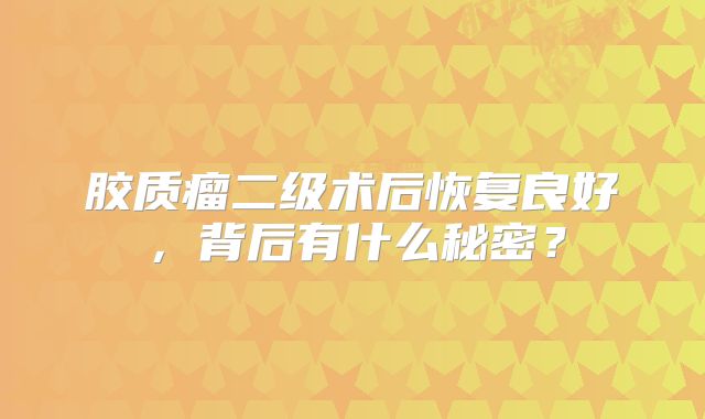 胶质瘤二级术后恢复良好，背后有什么秘密？