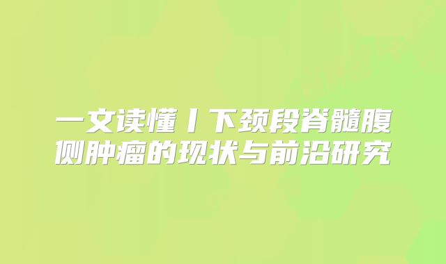 一文读懂丨下颈段脊髓腹侧肿瘤的现状与前沿研究