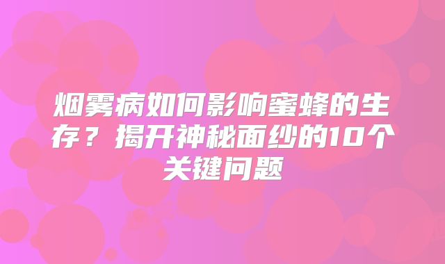 烟雾病如何影响蜜蜂的生存？揭开神秘面纱的10个关键问题