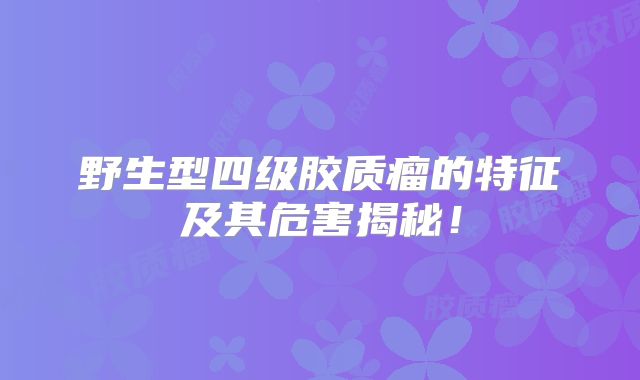 野生型四级胶质瘤的特征及其危害揭秘！
