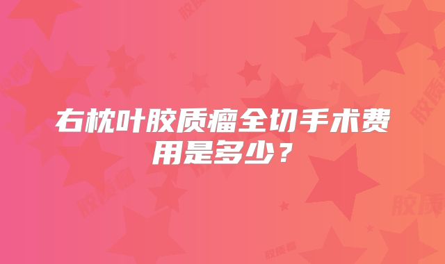 右枕叶胶质瘤全切手术费用是多少？