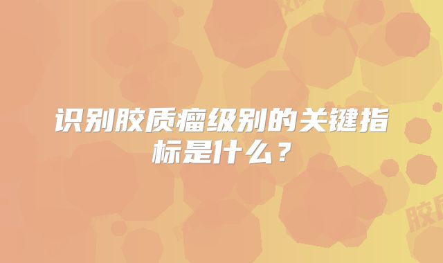识别胶质瘤级别的关键指标是什么？