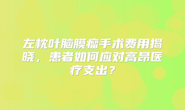 左枕叶脑膜瘤手术费用揭晓，患者如何应对高昂医疗支出？