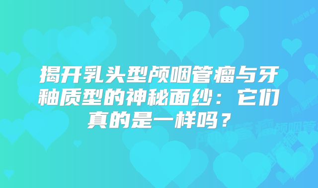 揭开乳头型颅咽管瘤与牙釉质型的神秘面纱：它们真的是一样吗？