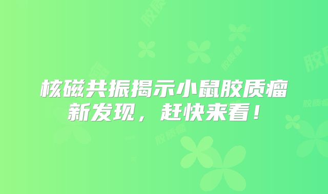 核磁共振揭示小鼠胶质瘤新发现，赶快来看！