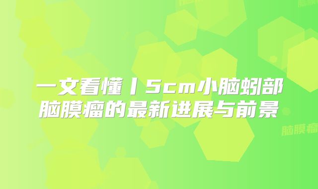一文看懂丨5cm小脑蚓部脑膜瘤的最新进展与前景