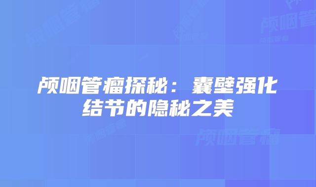 颅咽管瘤探秘：囊壁强化结节的隐秘之美