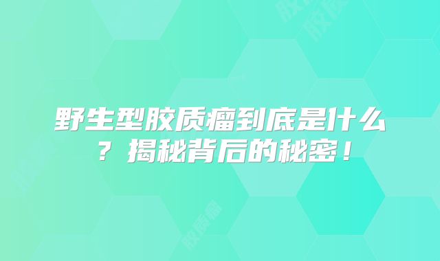野生型胶质瘤到底是什么？揭秘背后的秘密！