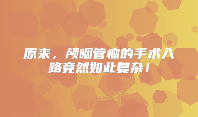 原来，颅咽管瘤的手术入路竟然如此复杂！