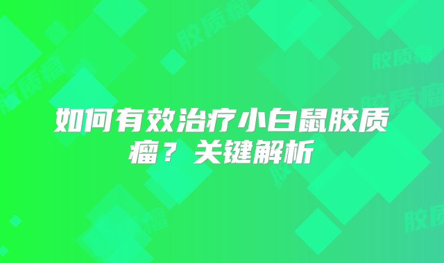 如何有效治疗小白鼠胶质瘤？关键解析