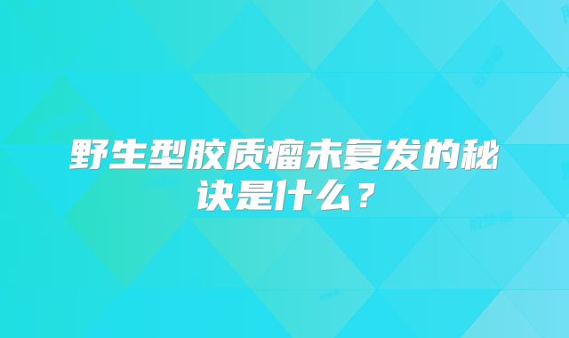 野生型胶质瘤未复发的秘诀是什么？