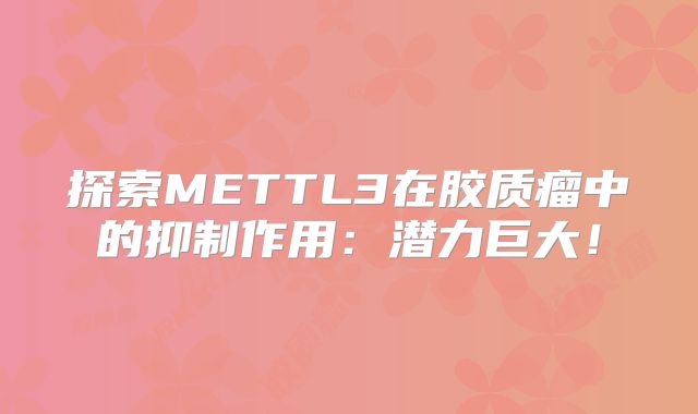 探索METTL3在胶质瘤中的抑制作用：潜力巨大！