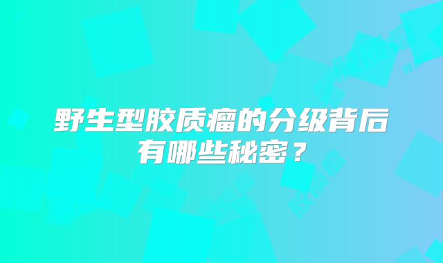 野生型胶质瘤的分级背后有哪些秘密？
