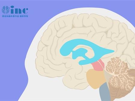 烟雾病康复之路：能否重拾健康生活？