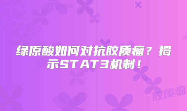 绿原酸如何对抗胶质瘤？揭示STAT3机制！