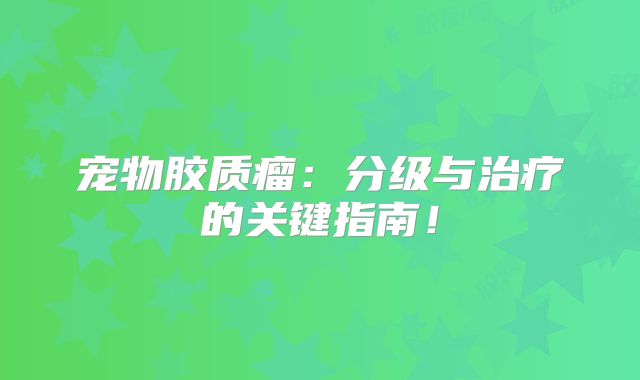 宠物胶质瘤：分级与治疗的关键指南！