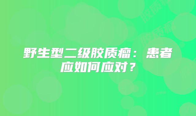 野生型二级胶质瘤：患者应如何应对？