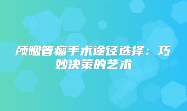 颅咽管瘤手术途径选择：巧妙决策的艺术