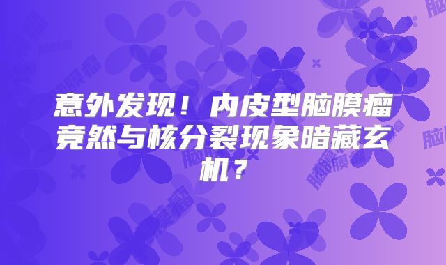 意外发现！内皮型脑膜瘤竟然与核分裂现象暗藏玄机？