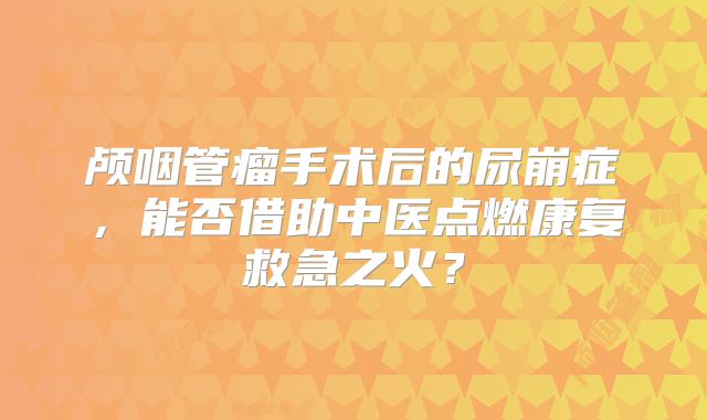 颅咽管瘤手术后的尿崩症，能否借助中医点燃康复救急之火？