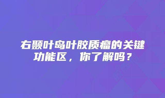 右颞叶岛叶胶质瘤的关键功能区，你了解吗？