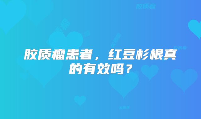 胶质瘤患者，红豆杉根真的有效吗？