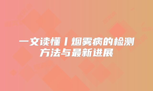 一文读懂丨烟雾病的检测方法与最新进展