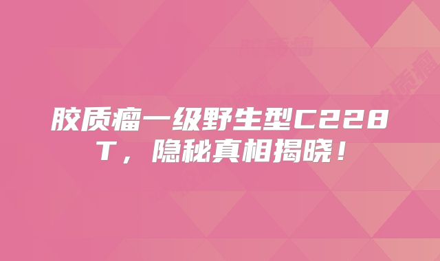 胶质瘤一级野生型C228T，隐秘真相揭晓！