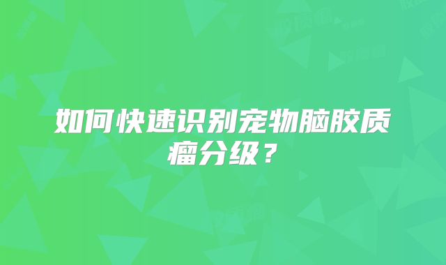 如何快速识别宠物脑胶质瘤分级？