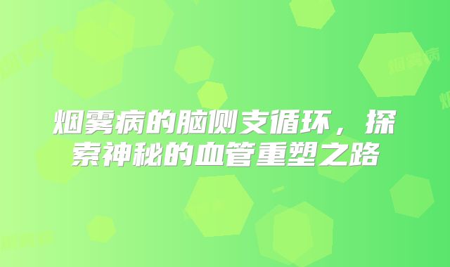 烟雾病的脑侧支循环，探索神秘的血管重塑之路