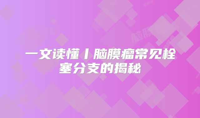 一文读懂丨脑膜瘤常见栓塞分支的揭秘