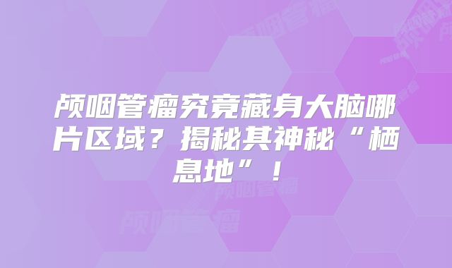 颅咽管瘤究竟藏身大脑哪片区域？揭秘其神秘“栖息地”！