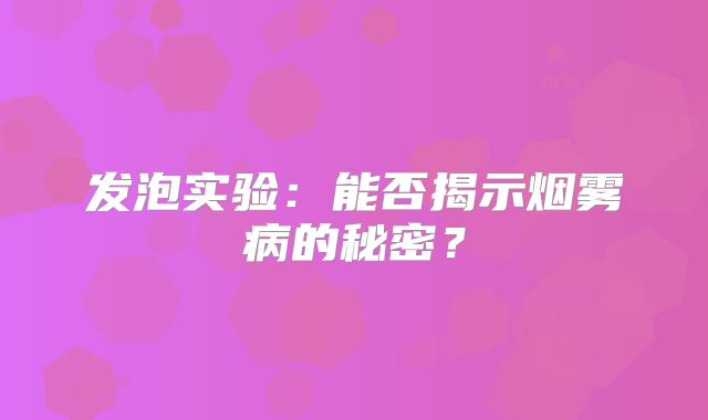 发泡实验：能否揭示烟雾病的秘密？