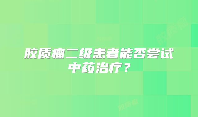 胶质瘤二级患者能否尝试中药治疗？