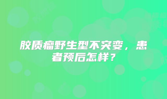 胶质瘤野生型不突变，患者预后怎样？