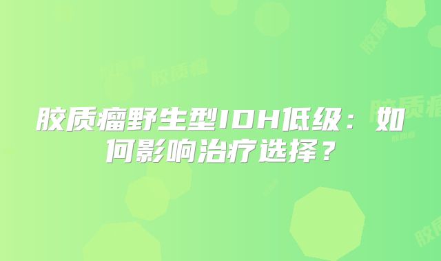 胶质瘤野生型IDH低级：如何影响治疗选择？