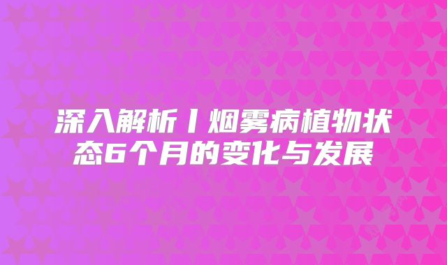 深入解析丨烟雾病植物状态6个月的变化与发展