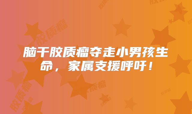 脑干胶质瘤夺走小男孩生命，家属支援呼吁！