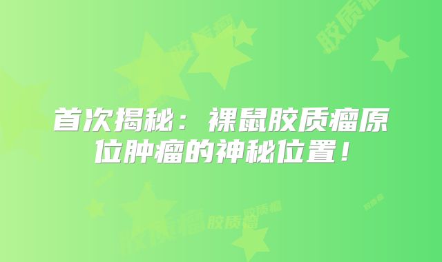 首次揭秘：裸鼠胶质瘤原位肿瘤的神秘位置！