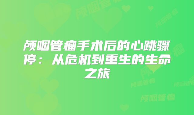 颅咽管瘤手术后的心跳骤停：从危机到重生的生命之旅