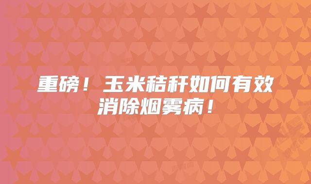 重磅！玉米秸秆如何有效消除烟雾病！