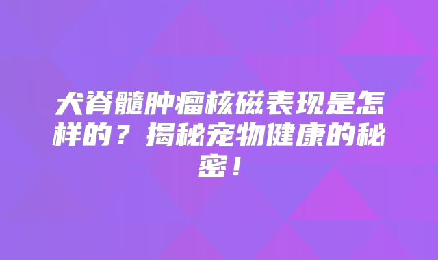 犬脊髓肿瘤核磁表现是怎样的？揭秘宠物健康的秘密！