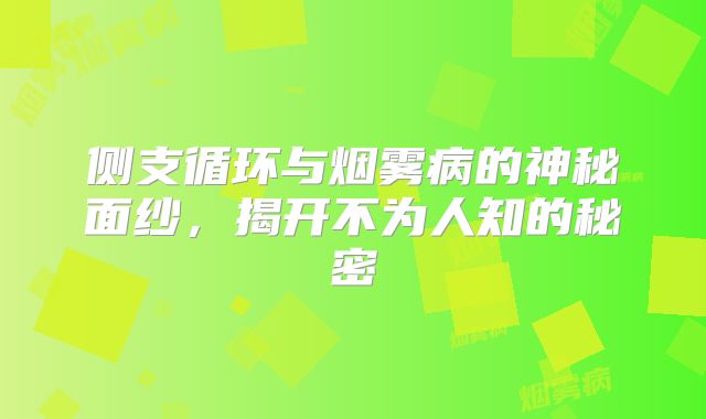 侧支循环与烟雾病的神秘面纱，揭开不为人知的秘密
