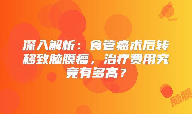 深入解析：食管癌术后转移致脑膜瘤，治疗费用究竟有多高？