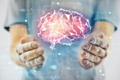 针对胶质瘤侵袭的生物机制进行有效的治疗