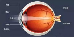 什么是视网膜星形细胞瘤？