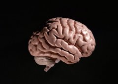 【脑瘤治疗】-新型双功能衔接蛋白对治疗脑瘤的影响