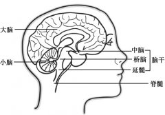 儿童脑肿瘤治疗须知